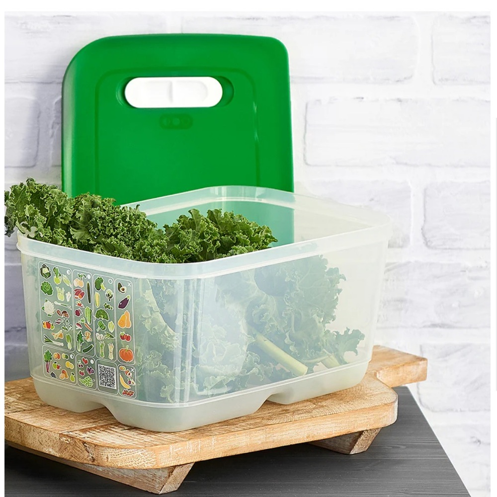 Tupperware Fridgesmart Containers 4.4L and 1.8L